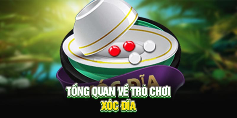 Giới thiệu tổng quan về trò chơi xóc đĩa